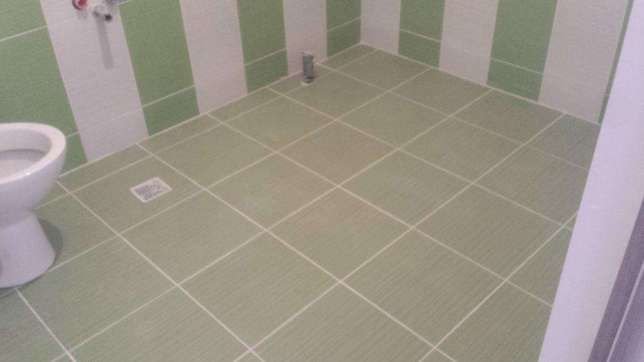 Zugravi si  faiantar,